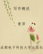 写作概说