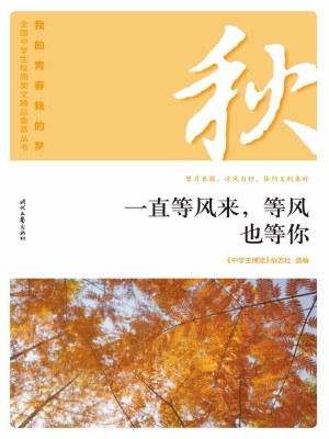 一直等风来，等风也等你