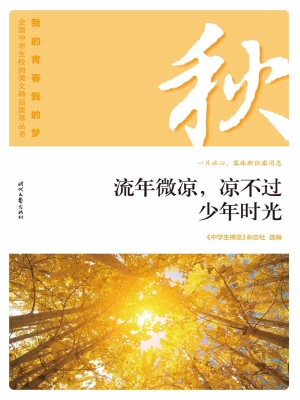 流年微凉，凉不过少年时