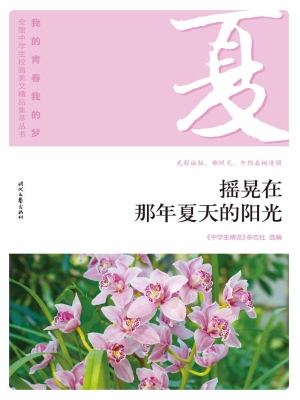 摇晃在那年夏天的阳光