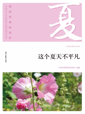 这个夏天不平凡