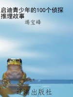 启迪青少年的100个侦