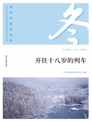 开往十八岁的列车