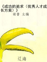 《成功的追求（优秀人才