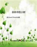 森林中的小树