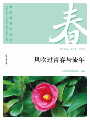 风吹过青春与流年