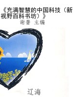 《充满智慧的中国科技
