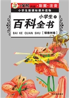 小学生百科全书（B）