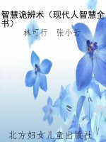 智慧诡辨术（现代人智慧