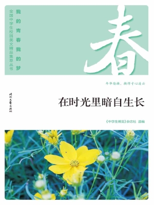 在时光里暗自生长
