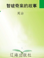 智破奇案的故事