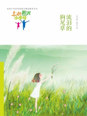 流泪的狗尾草