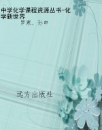 中学化学课程资源丛书