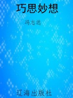 巧思妙想