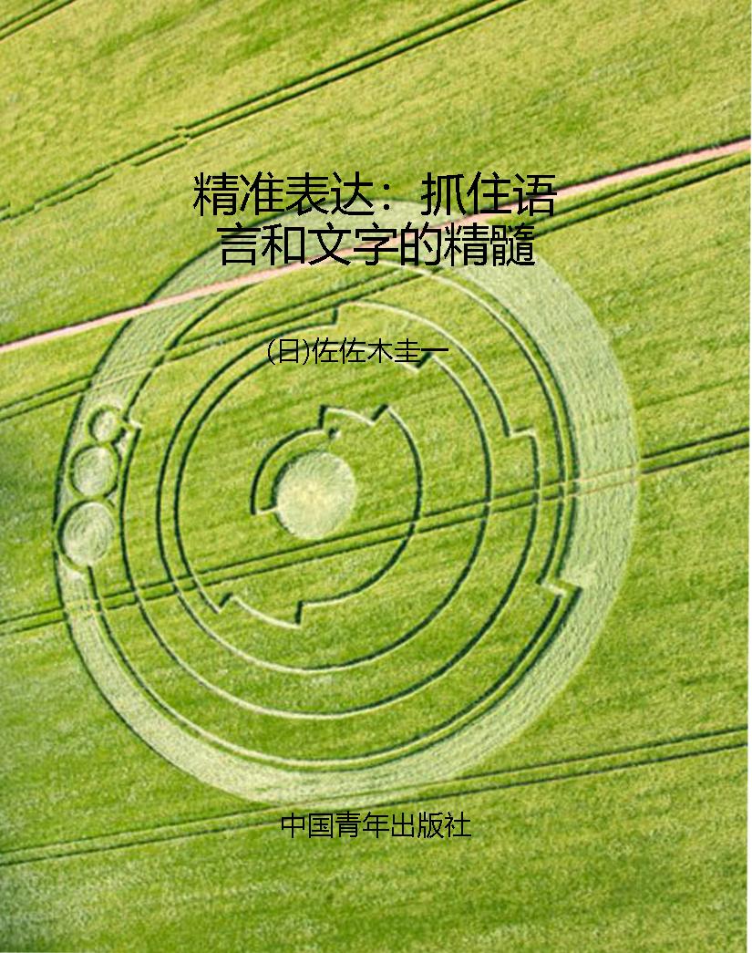 精准表达：抓住语言和文