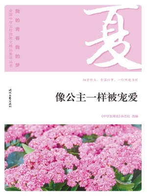 像公主一样被宠爱