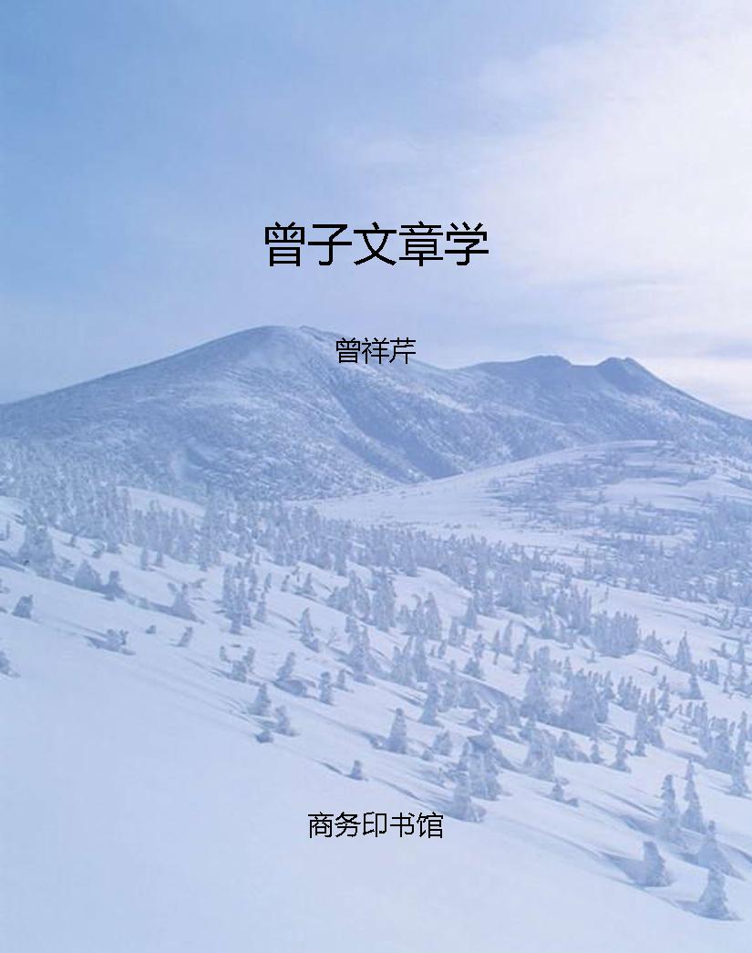 曾子文章学