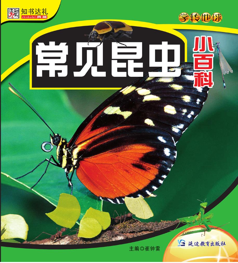 常见昆虫小百科