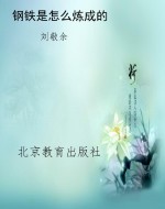 钢铁是怎么炼成的