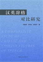 汉英辞格对比研究