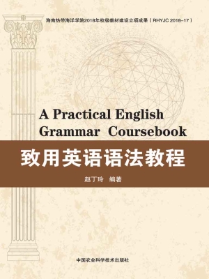致用英语语法教程