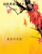 初中英语语法大全