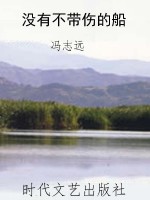没有不带伤的船