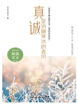 真诚是消融寒冰的春风