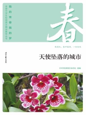 天使坠落的城市