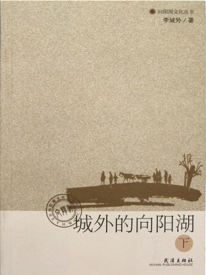 城外的向阳湖（下）