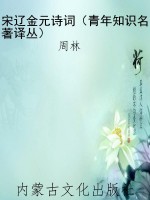 宋辽金元诗词（青年知识