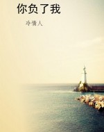 你负了我