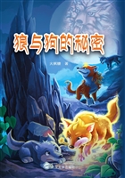 狼与狗的秘密