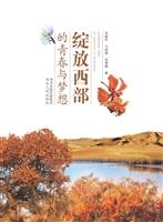 绽放西部的青春与梦想