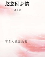 悠悠回乡情