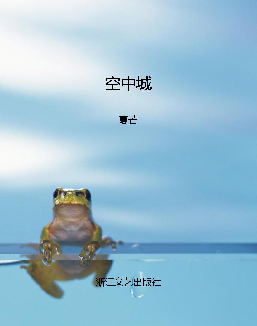 空中城