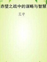 赤壁之战中的谋略与智