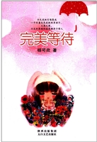 完美等待