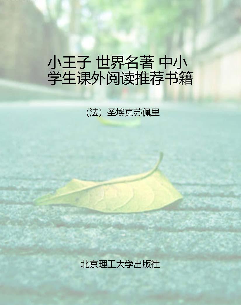 小王子 世界名著 中小