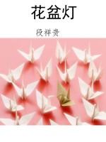 花盆灯