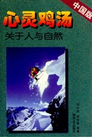心灵鸡汤——中国版·