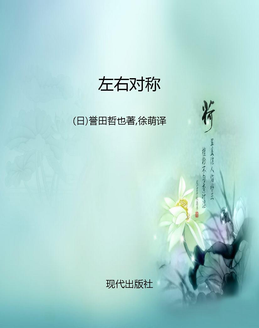 左右对称