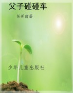 父子碰碰车