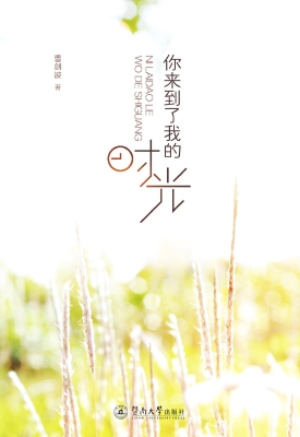 你来到了我的时光