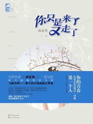 你只是来了又走了