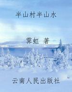 半山村半山水