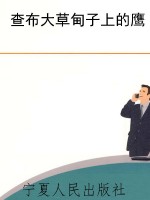 查布大草甸子上的鹰