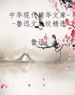 中华现代精华文库--鲁