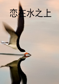 恋在水之上