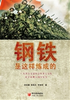 钢铁是这样炼成的——